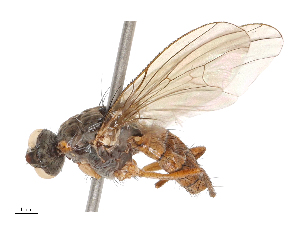  ( - CBG-B01512-F03)  @11 [ ] CreativeCommons - Attribution Share - Alike (2025) CBG Photography Group Centre for Biodiversity Genomics