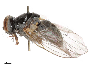  ( - CBG-B01512-F09)  @11 [ ] CreativeCommons - Attribution Share - Alike (2025) CBG Photography Group Centre for Biodiversity Genomics