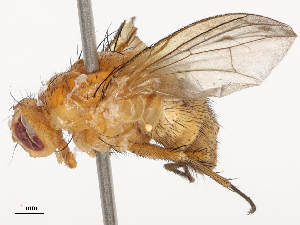  ( - CBG-B01646-C04)  @11 [ ] CreativeCommons - Attribution Share - Alike (2025) CBG Photography Group Centre for Biodiversity Genomics