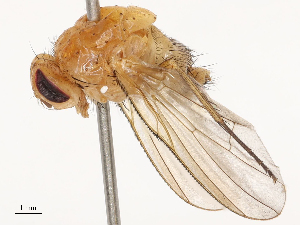  ( - CBG-B01646-E05)  @11 [ ] CreativeCommons - Attribution Share - Alike (2025) CBG Photography Group Centre for Biodiversity Genomics
