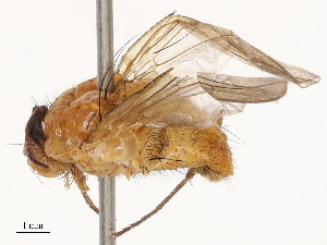  ( - CBG-B01646-G07)  @11 [ ] CreativeCommons - Attribution Share - Alike (2025) CBG Photography Group Centre for Biodiversity Genomics