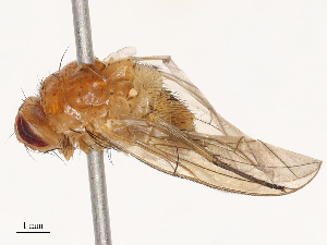  ( - CBG-B01646-H09)  @11 [ ] CreativeCommons - Attribution Share - Alike (2025) CBG Photography Group Centre for Biodiversity Genomics