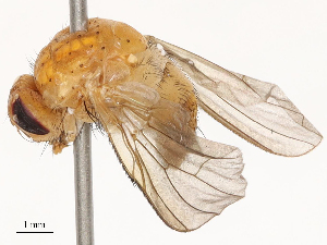  ( - CBG-B01646-H11)  @11 [ ] CreativeCommons - Attribution Share - Alike (2025) CBG Photography Group Centre for Biodiversity Genomics