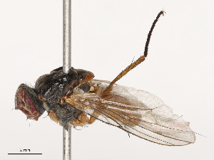  ( - CBG-B01652-A10)  @11 [ ] CreativeCommons - Attribution Share - Alike (2025) CBG Photography Group Centre for Biodiversity Genomics