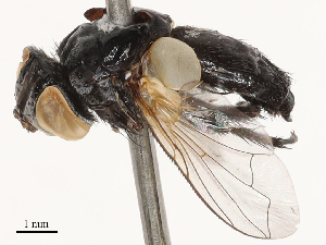  ( - CBG-B01660-E10)  @11 [ ] CreativeCommons - Attribution Share - Alike (2025) CBG Photography Group Centre for Biodiversity Genomics