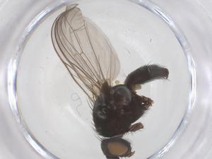  ( - CBG-B02192-G04)  @11 [ ] CreativeCommons - Attribution Share - Alike (2025) Centre for Biodiversity Genomics Centre for Biodiversity Genomics