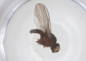  ( - CBG-B02195-C04)  @11 [ ] CreativeCommons - Attribution Share - Alike (2025) Centre for Biodiversity Genomics Centre for Biodiversity Genomics