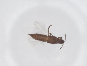  ( - CBG-B02195-C06)  @11 [ ] CreativeCommons - Attribution Share - Alike (2025) Centre for Biodiversity Genomics Centre for Biodiversity Genomics