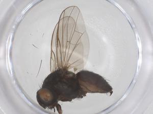  ( - CBG-B02195-F05)  @11 [ ] CreativeCommons - Attribution Share - Alike (2025) Centre for Biodiversity Genomics Centre for Biodiversity Genomics