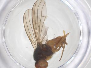  ( - CBG-B02195-H04)  @11 [ ] CreativeCommons - Attribution Share - Alike (2025) Centre for Biodiversity Genomics Centre for Biodiversity Genomics