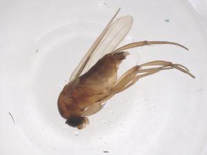  ( - CBG-B02206-B12)  @11 [ ] CreativeCommons - Attribution Share - Alike (2025) Centre for Biodiversity Genomics Centre for Biodiversity Genomics