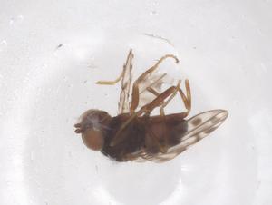  ( - CBG-B02206-G03)  @11 [ ] CreativeCommons - Attribution Share - Alike (2025) Centre for Biodiversity Genomics Centre for Biodiversity Genomics