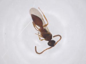  ( - CBG-B02947-C05)  @11 [ ] CreativeCommons - Attribution Share - Alike (2025) Centre for Biodiversity Genomics Centre for Biodiversity Genomics