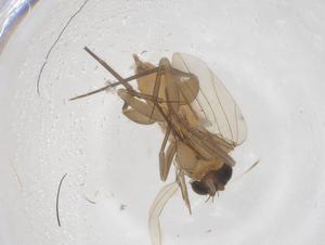  ( - CBG-B02972-G04)  @11 [ ] CreativeCommons - Attribution Share - Alike (2025) Centre for Biodiversity Genomics Centre for Biodiversity Genomics