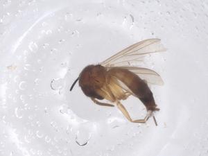  ( - CBG-B03226-D08)  @11 [ ] CreativeCommons - Attribution Share - Alike (2025) Centre for Biodiversity Genomics Centre for Biodiversity Genomics