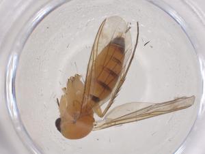  ( - CBG-B03248-E02)  @11 [ ] CreativeCommons - Attribution Share - Alike (2025) Centre for Biodiversity Genomics Centre for Biodiversity Genomics