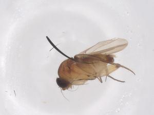  ( - CBG-B03251-E07)  @11 [ ] CreativeCommons - Attribution Share - Alike (2025) Centre for Biodiversity Genomics Centre for Biodiversity Genomics