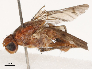  ( - CBG-B03261-D09)  @11 [ ] CreativeCommons - Attribution Share - Alike (2025) CBG Photography Group Centre for Biodiversity Genomics