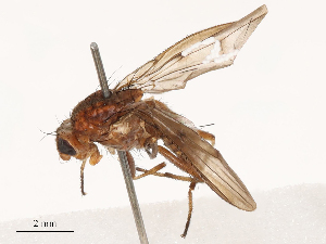  ( - CBG-B03261-E09)  @11 [ ] CreativeCommons - Attribution Share - Alike (2025) CBG Photography Group Centre for Biodiversity Genomics