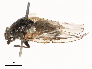  ( - CBG-B03264-E02)  @11 [ ] CreativeCommons - Attribution Share - Alike (2025) CBG Photography Group Centre for Biodiversity Genomics