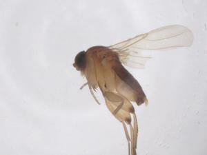  ( - CBG-B03276-A07)  @11 [ ] CreativeCommons - Attribution Share - Alike (2025) Centre for Biodiversity Genomics Centre for Biodiversity Genomics