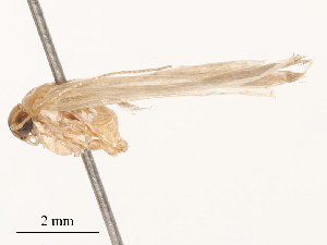  ( - CBG-B03398-F10)  @11 [ ] CreativeCommons - Attribution Share - Alike (2025) CBG Photography Group Centre for Biodiversity Genomics