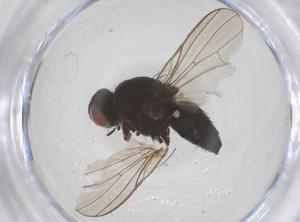  ( - CBG-B03584-F08)  @11 [ ] CreativeCommons - Attribution Share - Alike (2025) Centre for Biodiversity Genomics Centre for Biodiversity Genomics