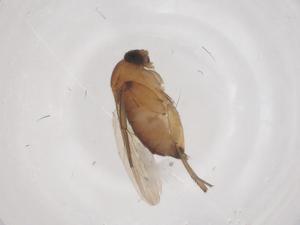  ( - CBG-B03604-F05)  @11 [ ] CreativeCommons - Attribution Share - Alike (2025) Centre for Biodiversity Genomics Centre for Biodiversity Genomics