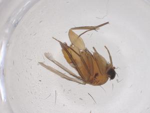  ( - CBG-B03610-F10)  @11 [ ] CreativeCommons - Attribution Share - Alike (2025) Centre for Biodiversity Genomics Centre for Biodiversity Genomics