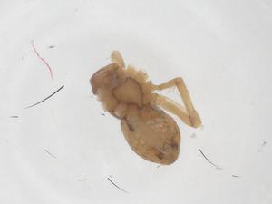  ( - CBG-B03611-A07)  @11 [ ] CreativeCommons - Attribution Share - Alike (2025) Centre for Biodiversity Genomics Centre for Biodiversity Genomics