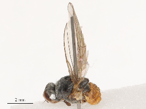  ( - CBG-B04358-F02)  @11 [ ] CreativeCommons - Attribution Share - Alike (2025) CBG Photography Group Centre for Biodiversity Genomics