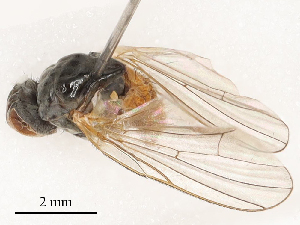  ( - CBG-B04358-F07)  @11 [ ] CreativeCommons - Attribution Share - Alike (2025) CBG Photography Group Centre for Biodiversity Genomics