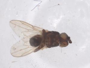  ( - CBG-B00150-E09)  @11 [ ] CreativeCommons - Attribution Share - Alike (2025) Centre for Biodiversity Genomics Centre for Biodiversity Genomics