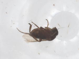  ( - CBG-B00151-E05)  @11 [ ] CreativeCommons - Attribution Share - Alike (2025) Centre for Biodiversity Genomics Centre for Biodiversity Genomics