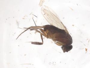  ( - CBG-B00152-H04)  @11 [ ] CreativeCommons - Attribution Share - Alike (2025) Centre for Biodiversity Genomics Centre for Biodiversity Genomics