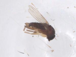  ( - CBG-B00153-E03)  @11 [ ] CreativeCommons - Attribution Share - Alike (2025) Centre for Biodiversity Genomics Centre for Biodiversity Genomics