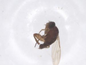  ( - CBG-B00153-E12)  @11 [ ] CreativeCommons - Attribution Share - Alike (2025) Centre for Biodiversity Genomics Centre for Biodiversity Genomics