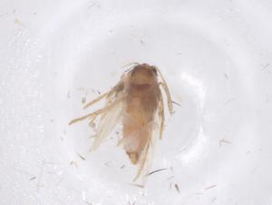  ( - CBG-B00153-F06)  @11 [ ] CreativeCommons - Attribution Share - Alike (2025) Centre for Biodiversity Genomics Centre for Biodiversity Genomics