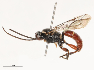  ( - CBG-B00191-F04)  @11 [ ] CreativeCommons - Attribution Share - Alike (2025) CBG Photography Group Centre for Biodiversity Genomics