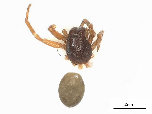  ( - CBG-B00191-H04)  @11 [ ] CreativeCommons - Attribution Share - Alike (2025) CBG Photography Group Centre for Biodiversity Genomics