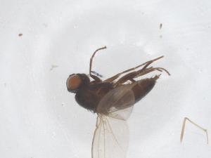  ( - CBG-B00456-D09)  @11 [ ] CreativeCommons - Attribution Share - Alike (2025) Centre for Biodiversity Genomics Centre for Biodiversity Genomics