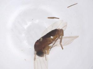  ( - CBG-B01155-D03)  @11 [ ] CreativeCommons - Attribution Share - Alike (2025) Centre for Biodiversity Genomics Centre for Biodiversity Genomics