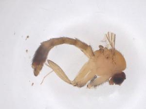  ( - CBG-B01155-E05)  @11 [ ] CreativeCommons - Attribution Share - Alike (2025) Centre for Biodiversity Genomics Centre for Biodiversity Genomics