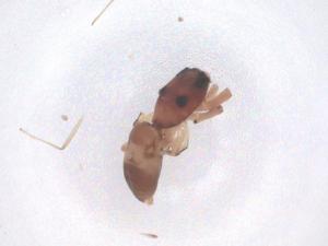  ( - CBG-B01157-F02)  @11 [ ] CreativeCommons - Attribution Share - Alike (2025) Centre for Biodiversity Genomics Centre for Biodiversity Genomics