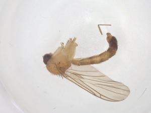  ( - CBG-B01158-A05)  @11 [ ] CreativeCommons - Attribution Share - Alike (2025) Centre for Biodiversity Genomics Centre for Biodiversity Genomics