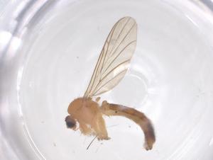  ( - CBG-B01910-B12)  @11 [ ] CreativeCommons - Attribution Share - Alike (2025) Centre for Biodiversity Genomics Centre for Biodiversity Genomics