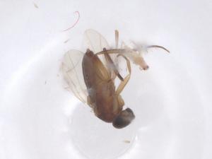  ( - CBG-B01913-F03)  @11 [ ] CreativeCommons - Attribution Share - Alike (2025) Centre for Biodiversity Genomics Centre for Biodiversity Genomics