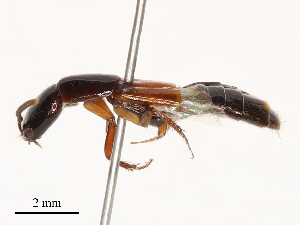  ( - CBG-B02536-B11)  @11 [ ] CreativeCommons - Attribution Share - Alike (2025) CBG Photography Group Centre for Biodiversity Genomics