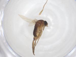  ( - CBG-B02806-F02)  @11 [ ] CreativeCommons - Attribution Share - Alike (2025) Centre for Biodiversity Genomics Centre for Biodiversity Genomics