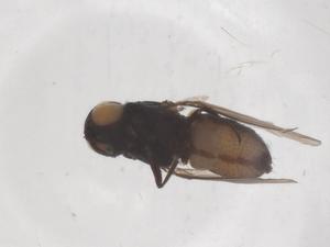  ( - CBG-B02914-A05)  @11 [ ] CreativeCommons - Attribution Share - Alike (2025) Centre for Biodiversity Genomics Centre for Biodiversity Genomics